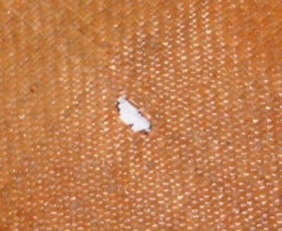 焦げ、穴空き補修