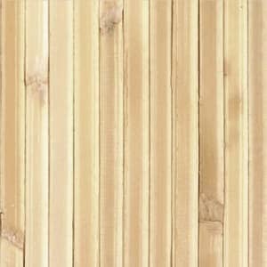 籐むしろネシアA